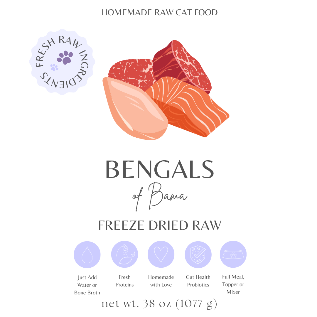 Homemade Freeze Dried Raw Cat Food