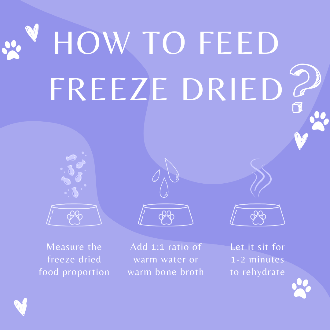 Homemade Freeze Dried Raw Cat Food