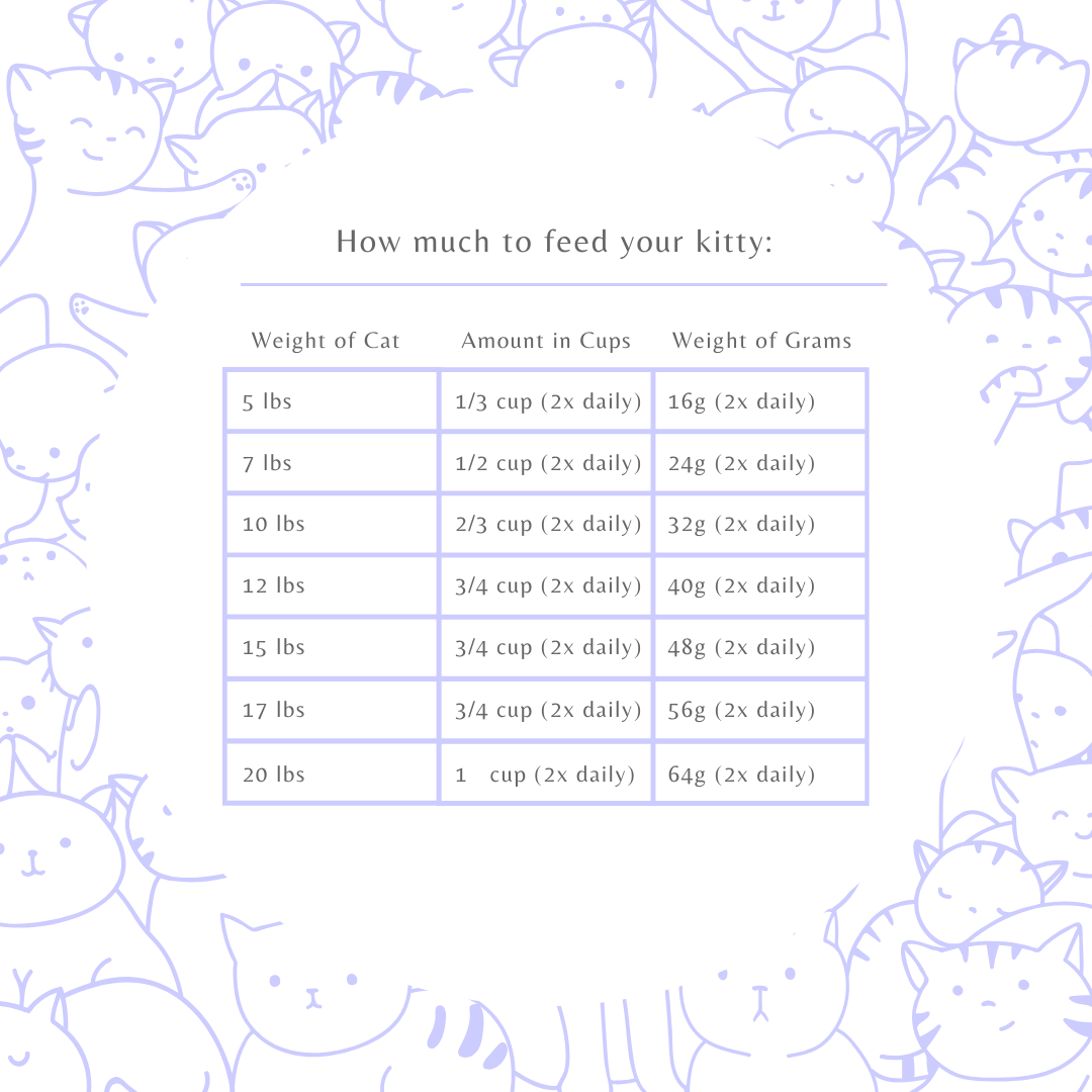 Homemade Freeze Dried Raw Cat Food