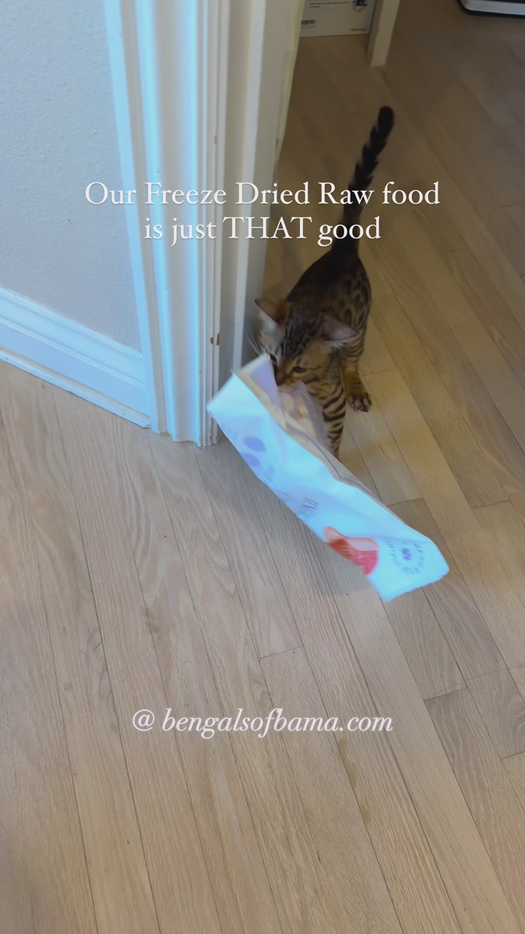 Load video: 
